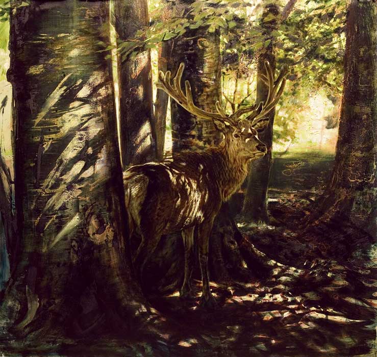 Robert Schoeller Painting: In the Forest's Shadow Wildlife Painting TH014